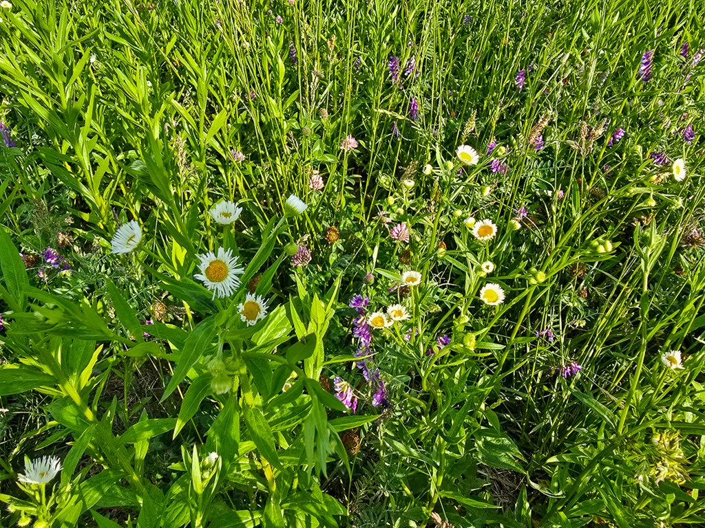 Uc001 Botetourt Road Property Photo 14