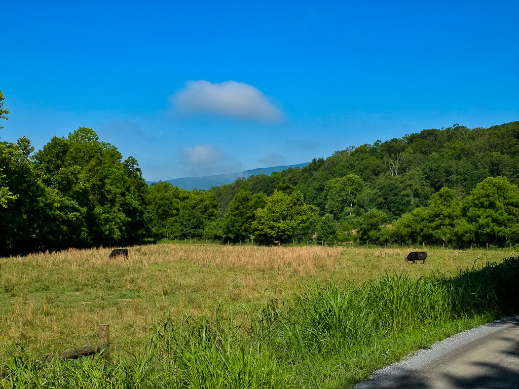 Uc001 Botetourt Road Property Photo 17