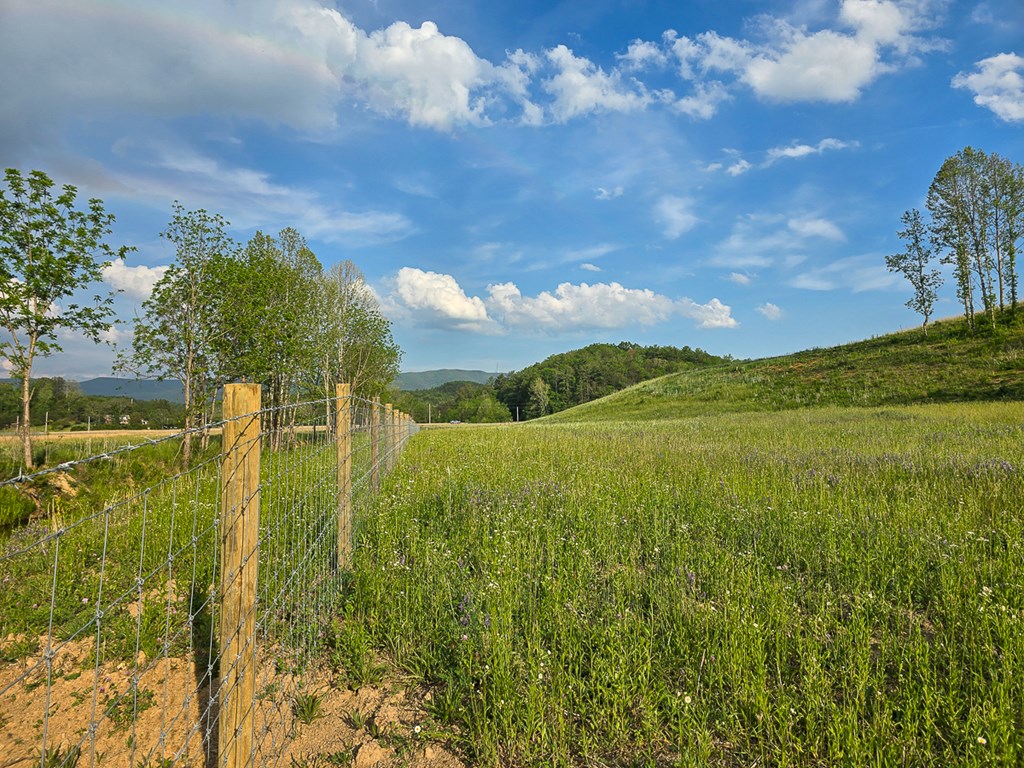 Uc001 Botetourt Road Property Photo 28