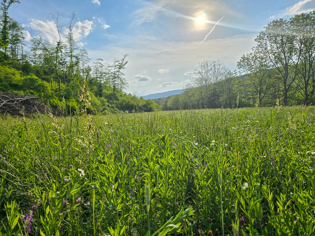 Uc001 Botetourt Road Property Photo 29
