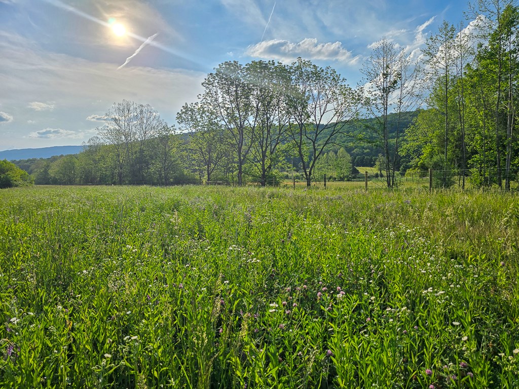 Uc001 Botetourt Road Property Photo 30