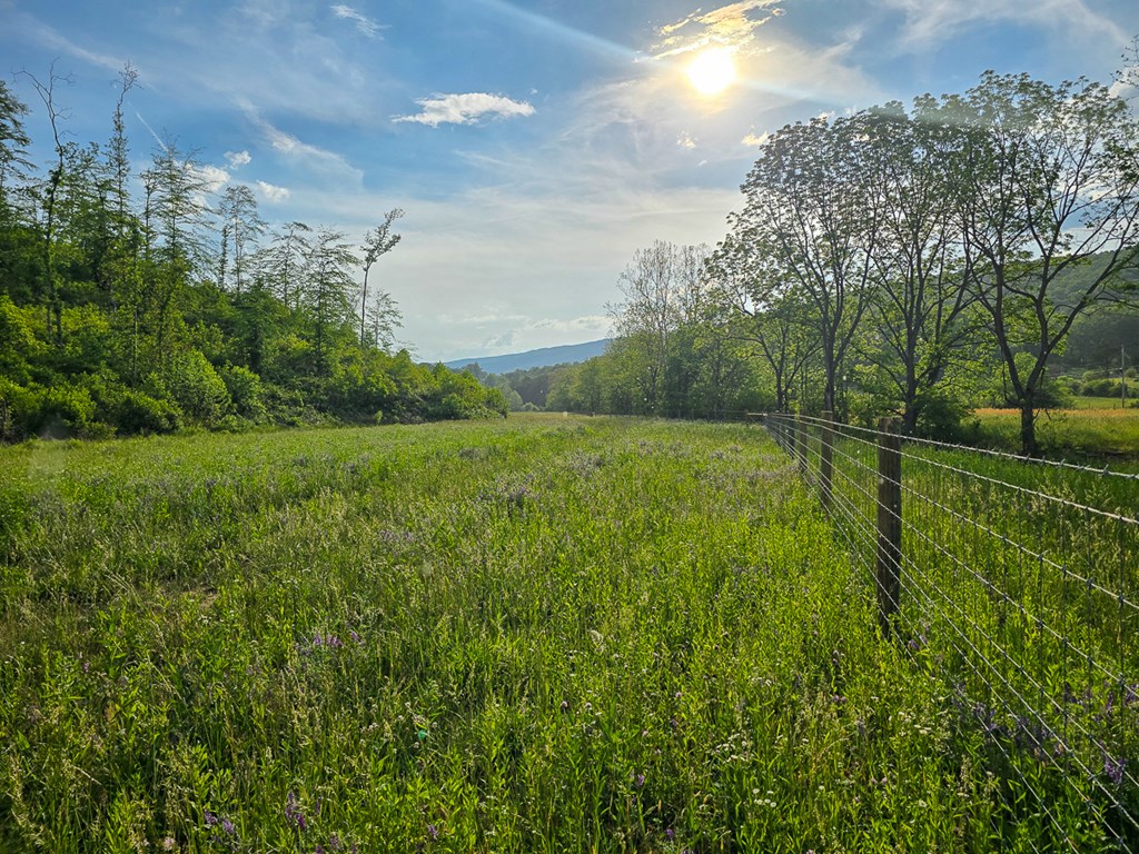 Uc001 Botetourt Road Property Photo 31