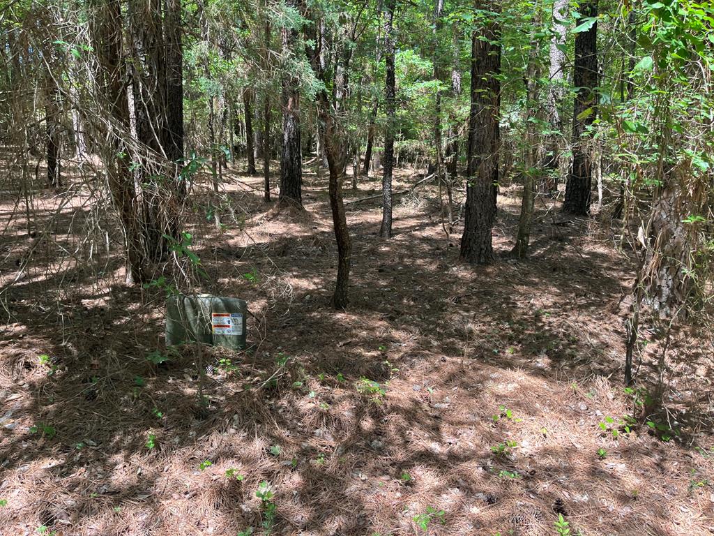Lot 10 Merifield Drive Property Photo 1