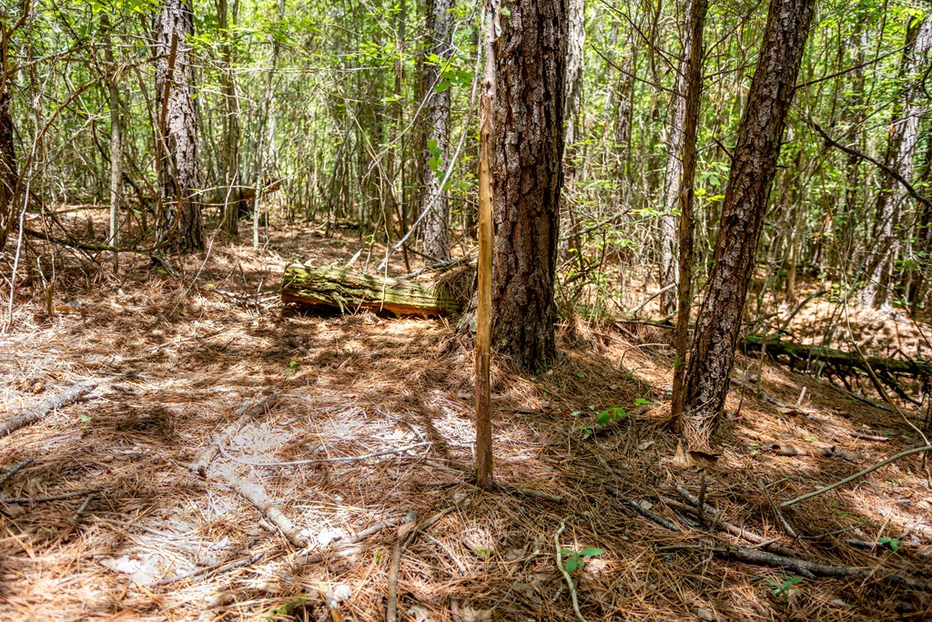 23680 Highway 58 Property Photo 17