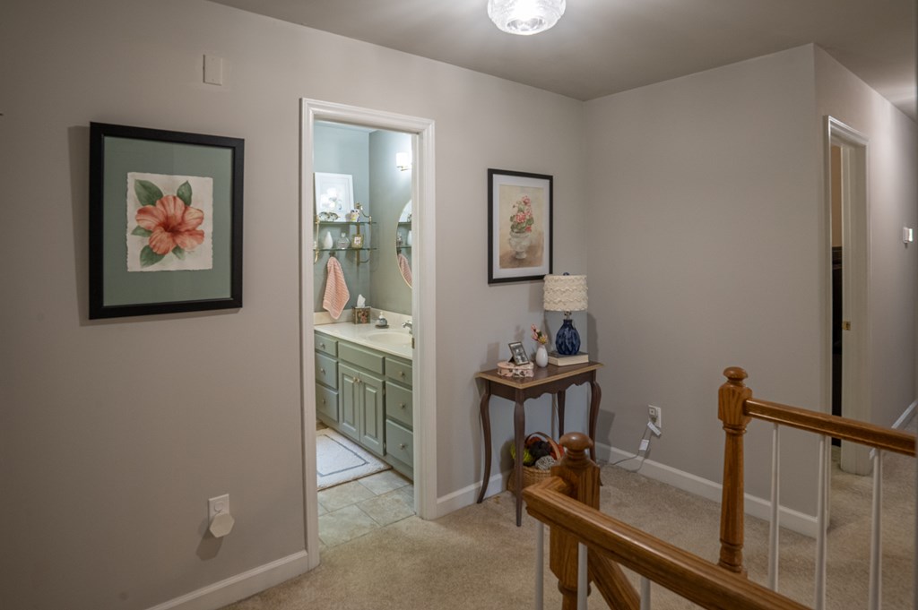 1092 Brook Run Property Photo 57