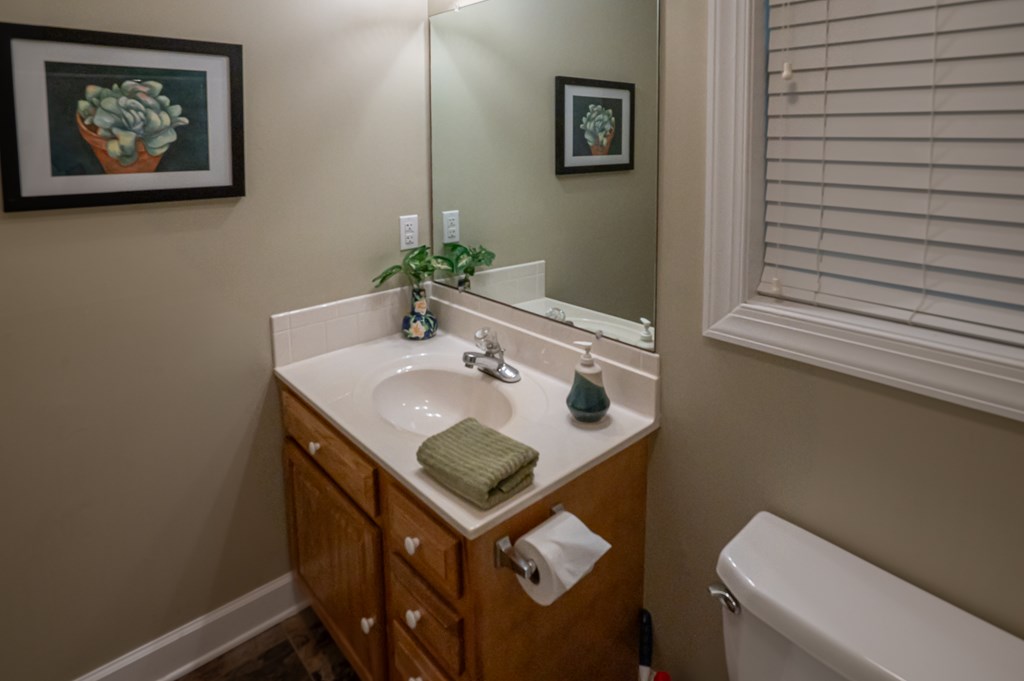 1092 Brook Run Property Photo 71