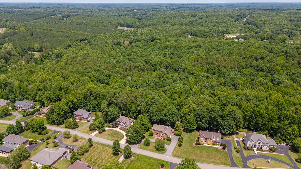 1092 Brook Run Property Photo 92