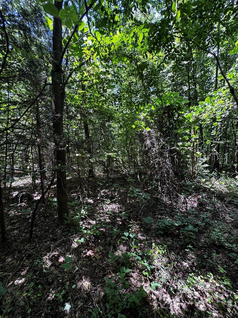 Easters Road Property Photo 4