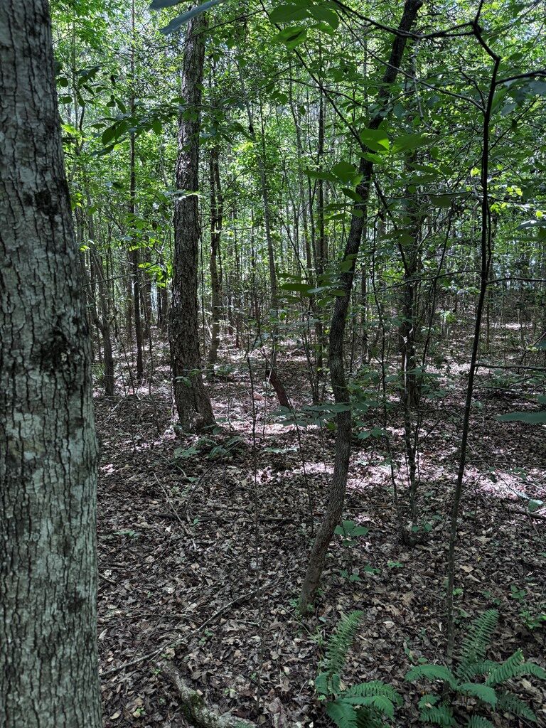 Easters Road Property Photo 7