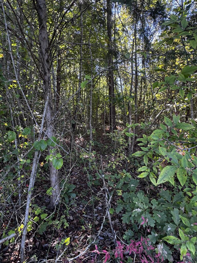 Easters Road Property Photo 16
