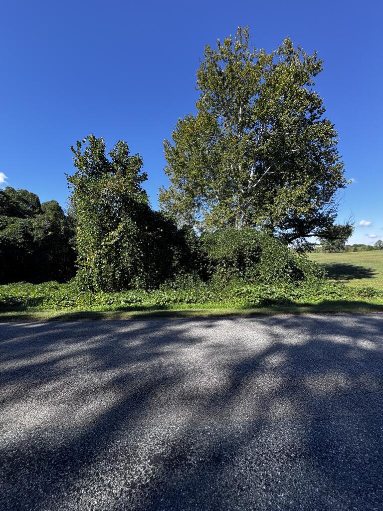 Easters Road Property Photo 22