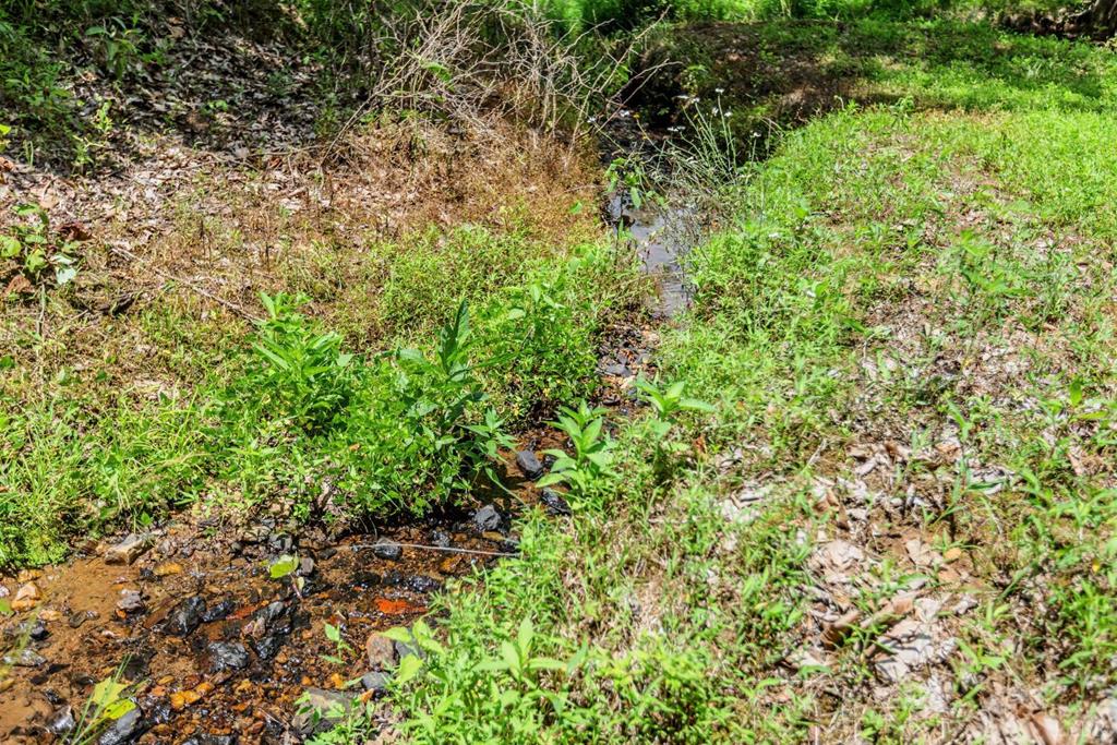 1370 Out Of Area Property Photo 89