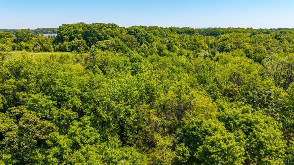 4159 Highway 29 Property Photo 30