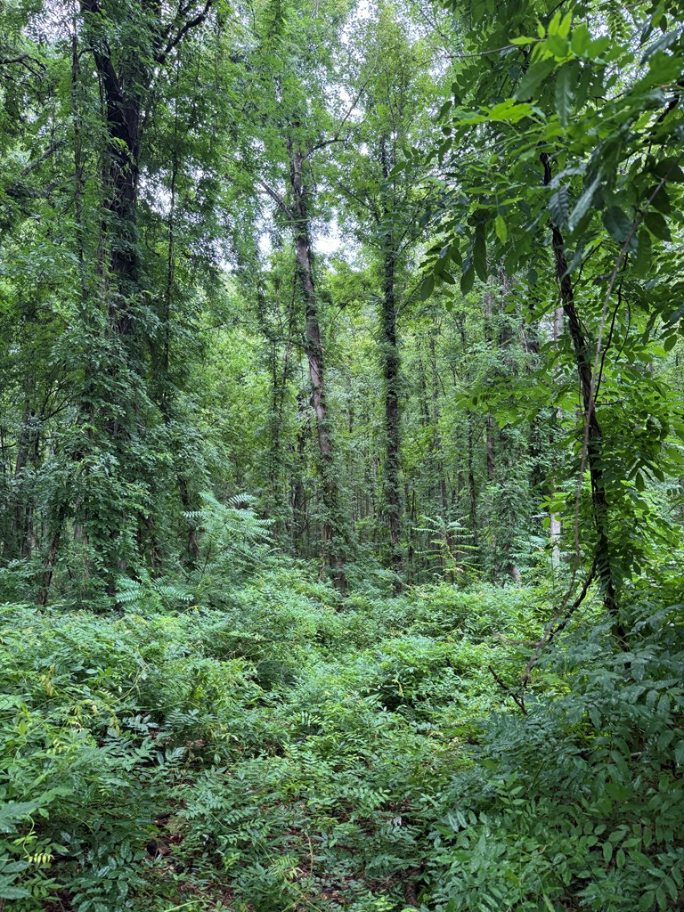 2990 Pendleton Road Property Photo 4