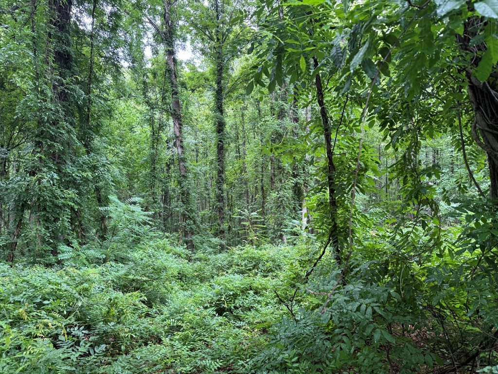 2990 Pendleton Road Property Photo 5