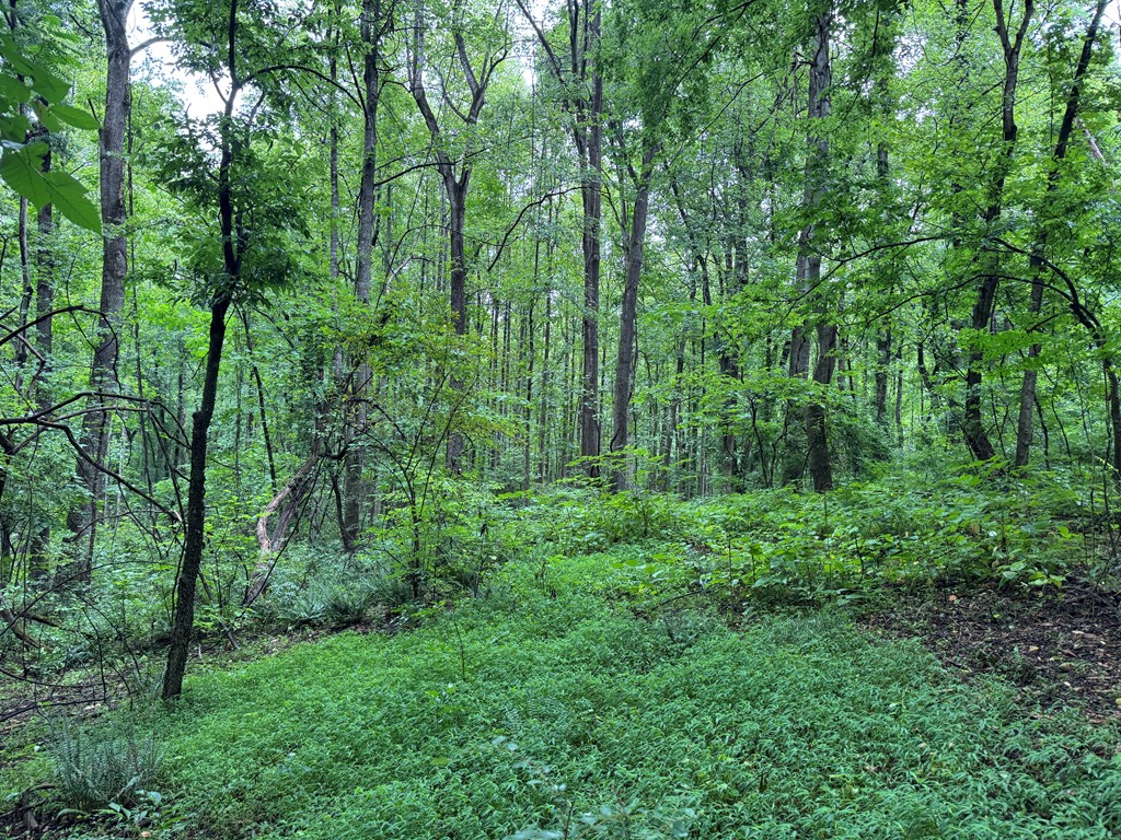 2990 Pendleton Road Property Photo 7