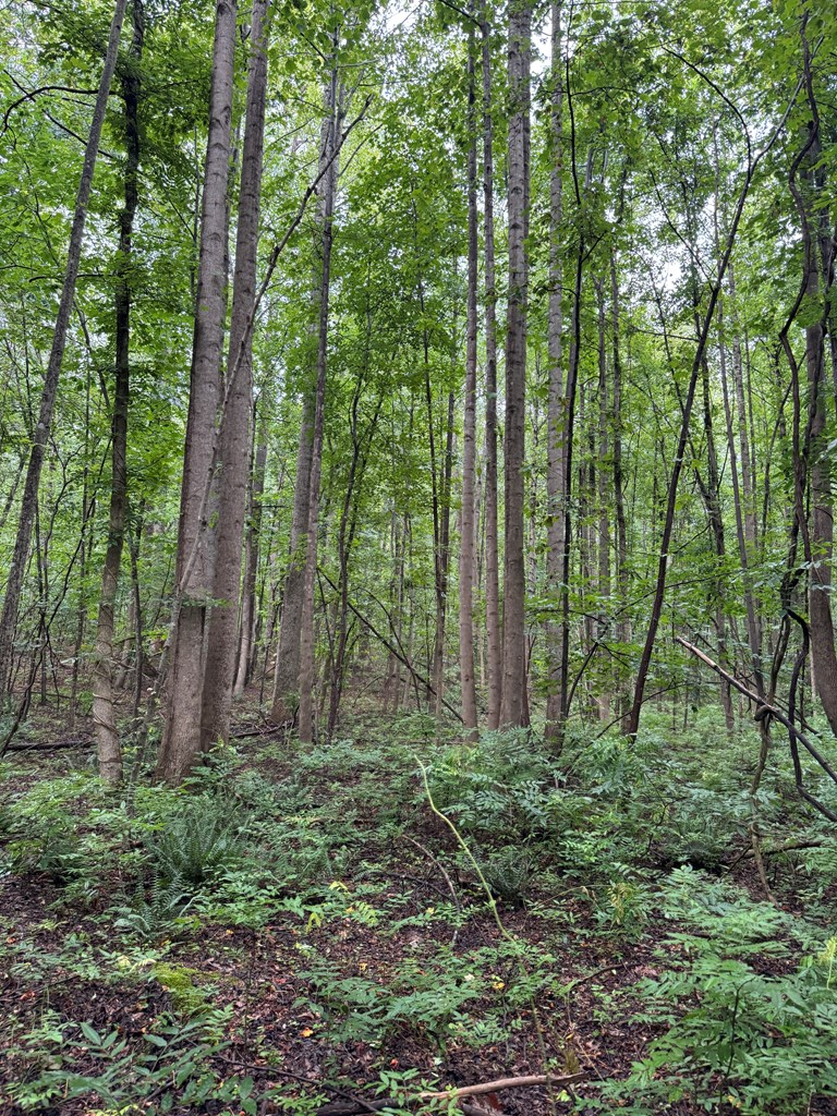 2990 Pendleton Road Property Photo 9