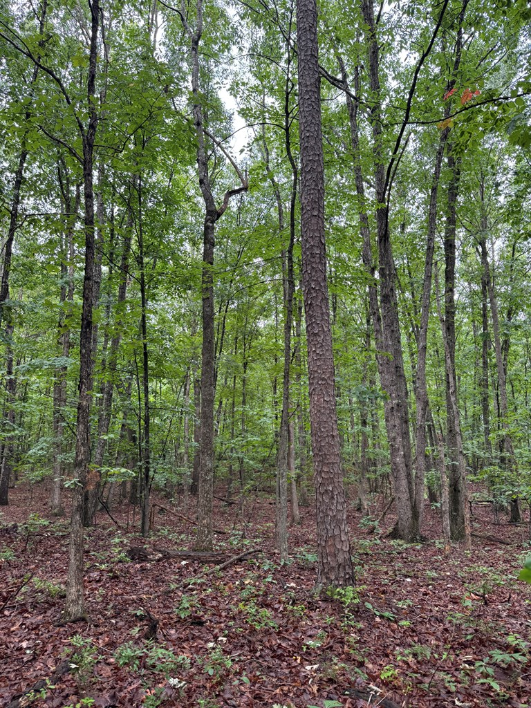 2990 Pendleton Road Property Photo 10