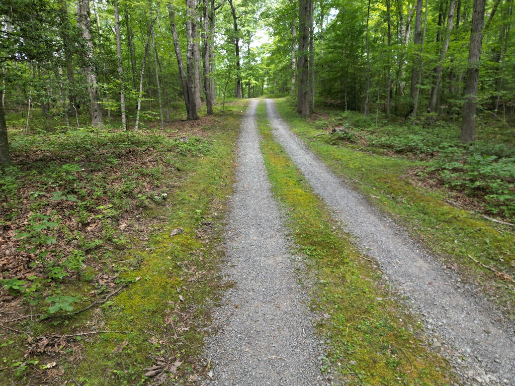 4244 Paynes Mill Road Property Photo 3