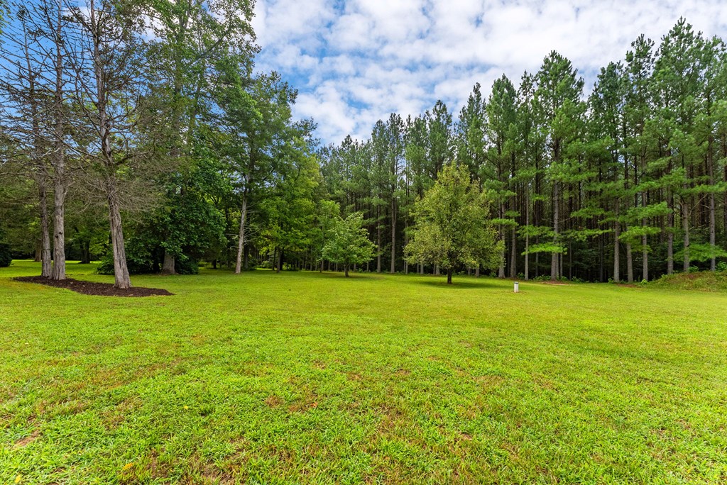4244 Paynes Mill Road Property Photo 66