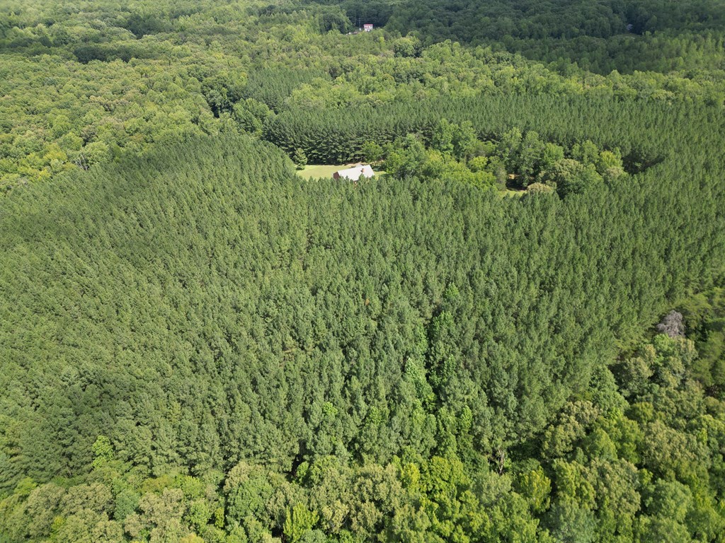 4244 Paynes Mill Road Property Photo 73