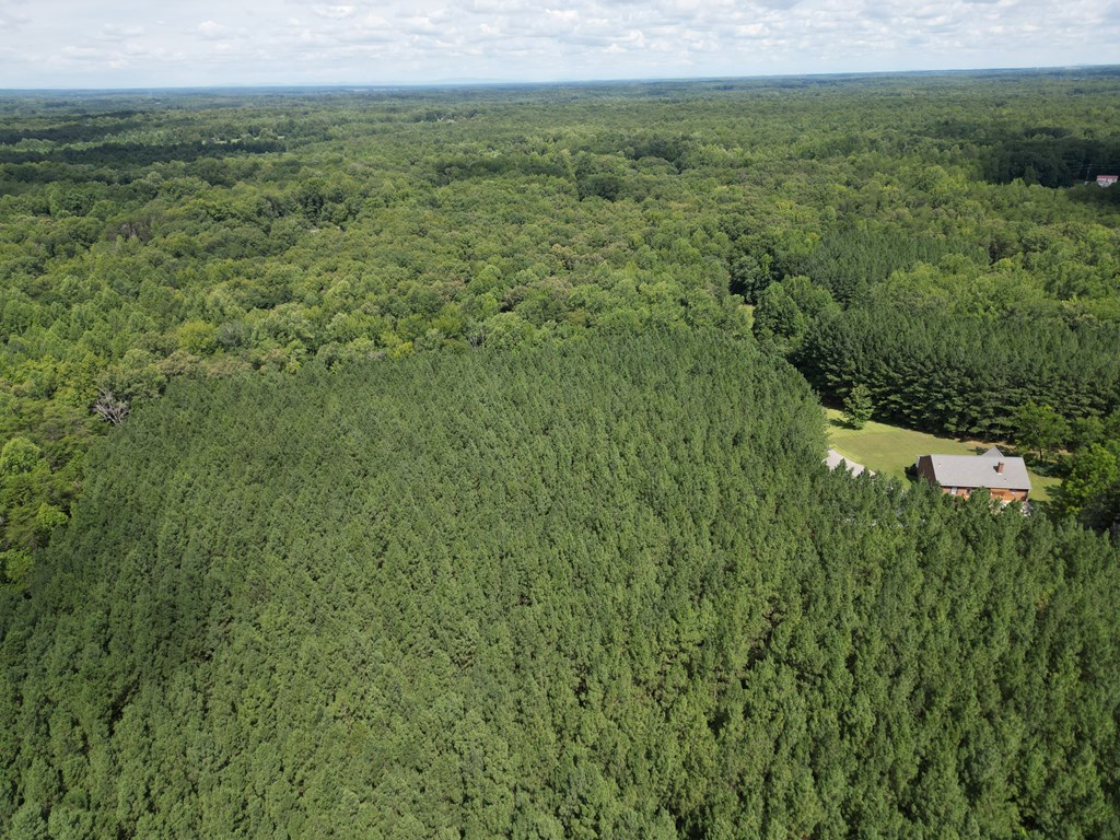 4244 Paynes Mill Road Property Photo 74