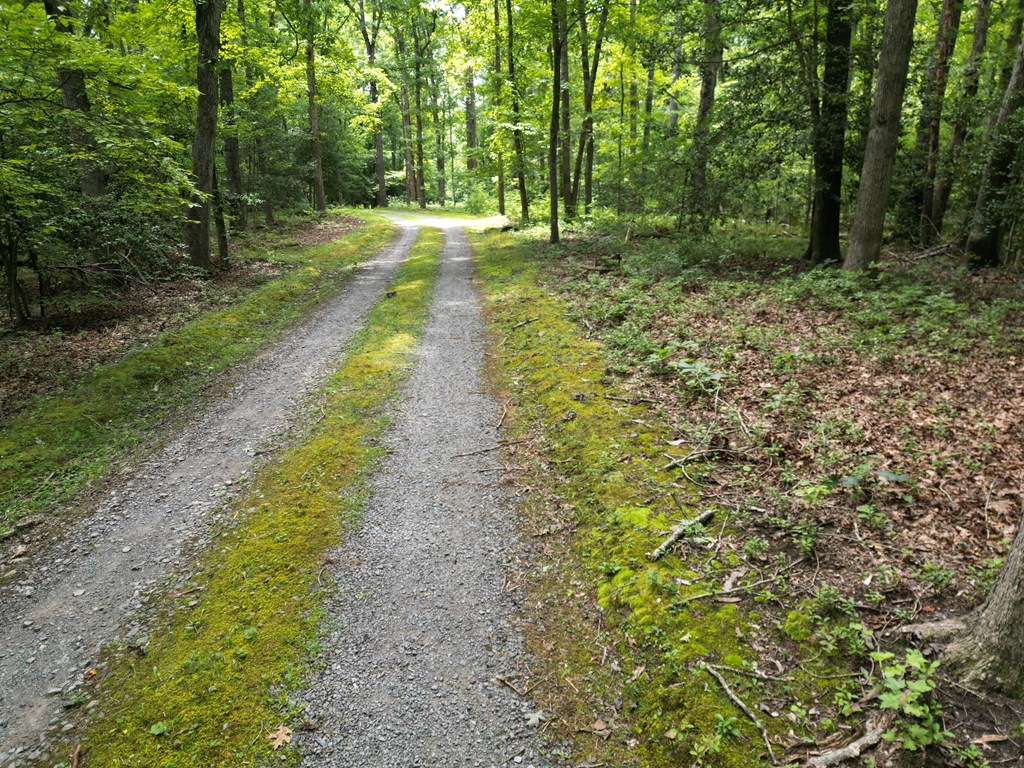 4244 Paynes Mill Road Property Photo 77