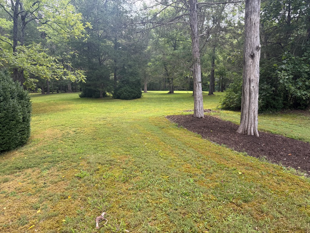 4244 Paynes Mill Road Property Photo 83