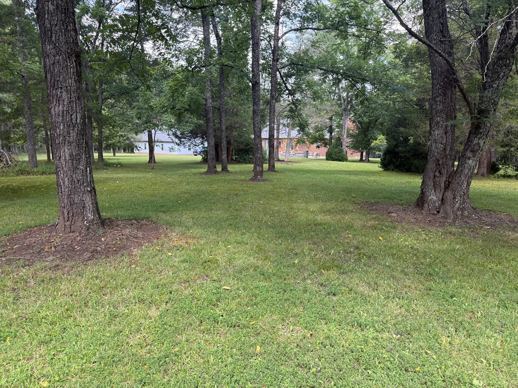 4244 Paynes Mill Road Property Photo 84