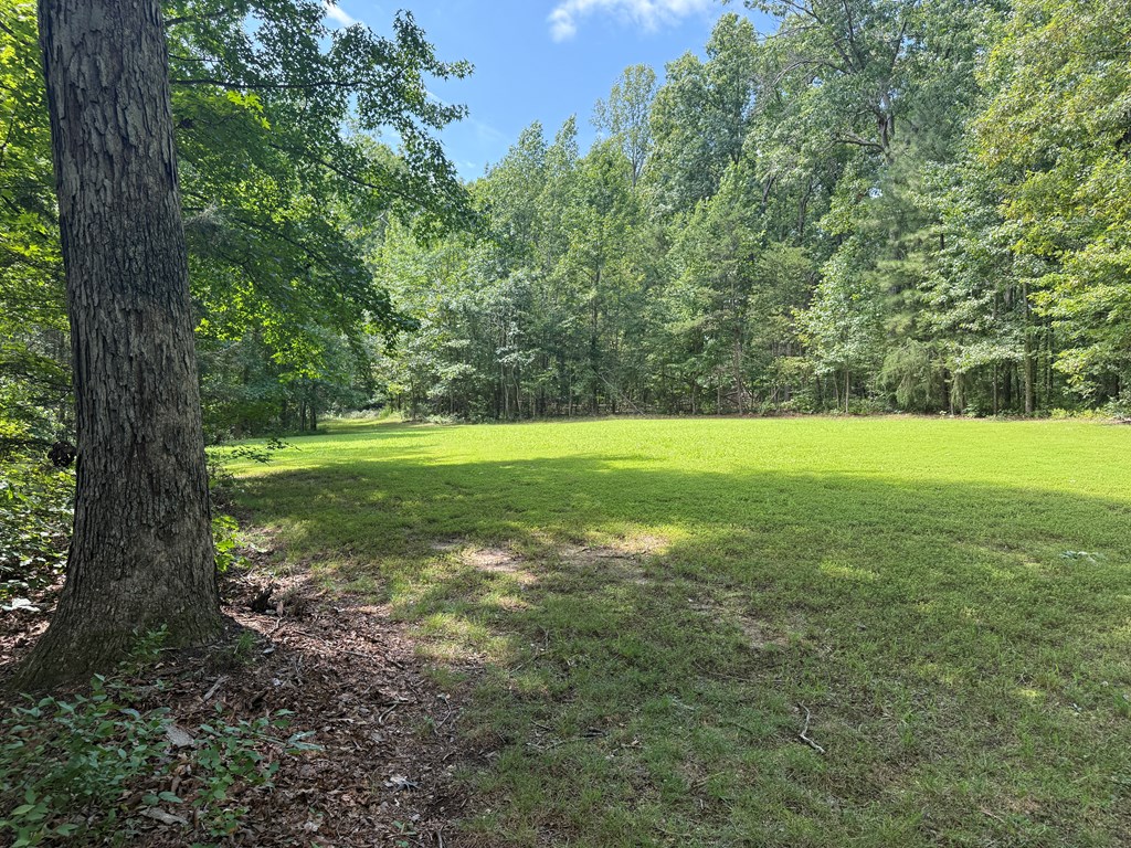 4244 Paynes Mill Road Property Photo 88