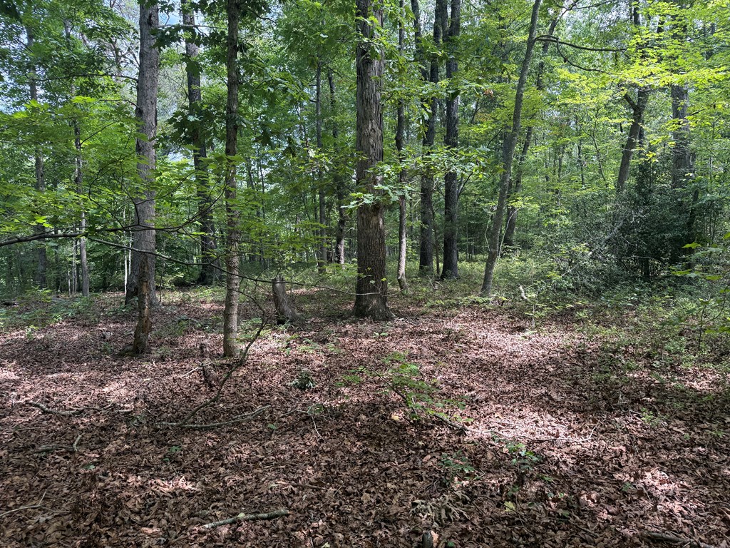 4244 Paynes Mill Road Property Photo 90