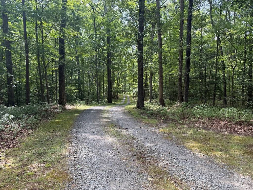 4244 Paynes Mill Road Property Photo 91