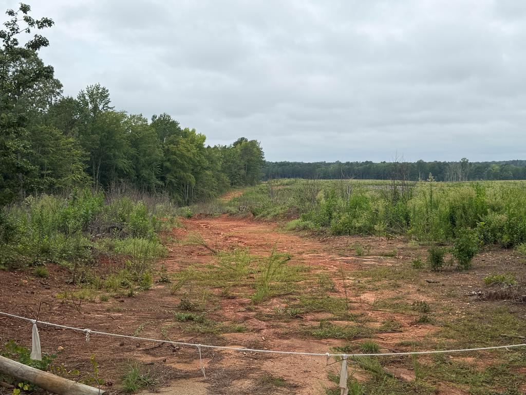 1898 Oak Grove Road Property Photo 2