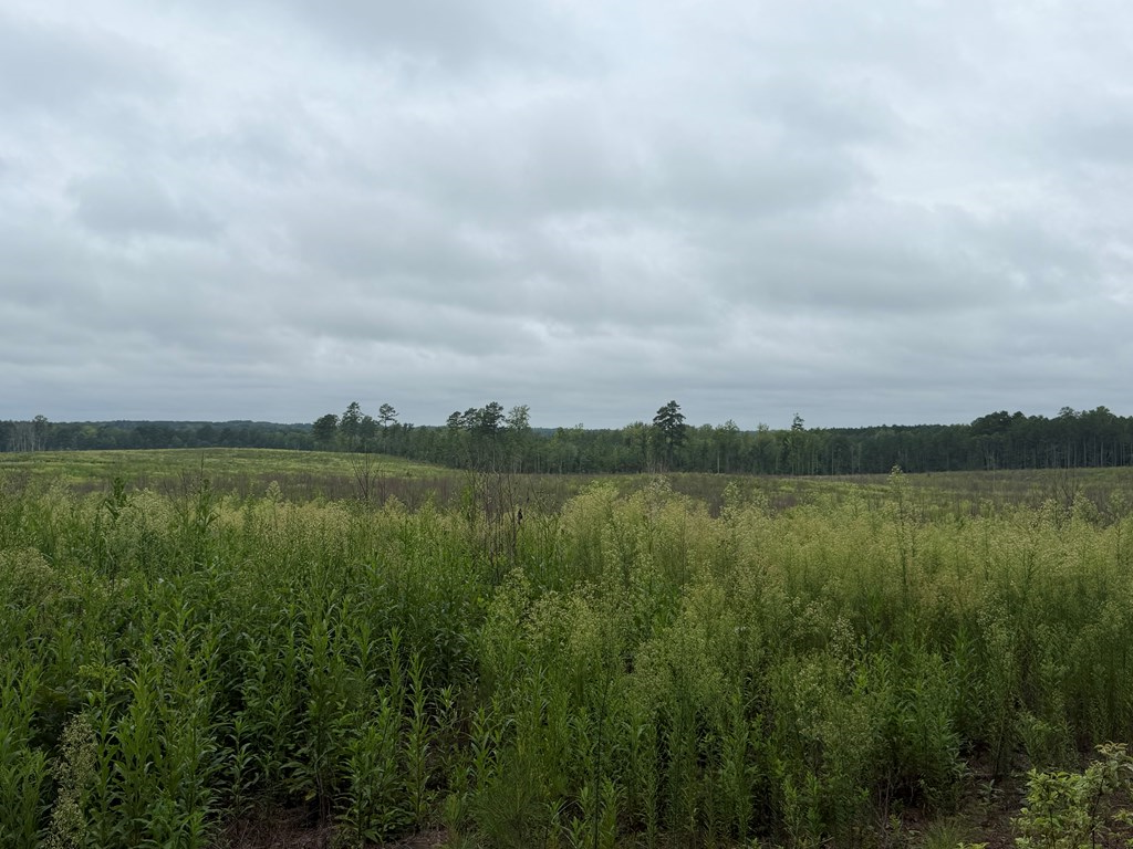 1898 Oak Grove Road Property Photo 4