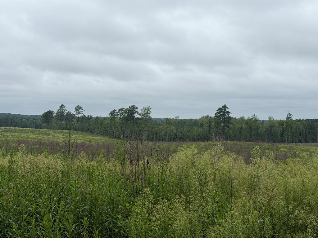 1898 Oak Grove Road Property Photo 5