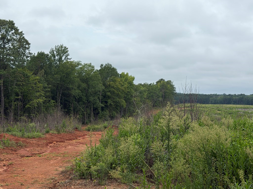 1898 Oak Grove Road Property Photo 6