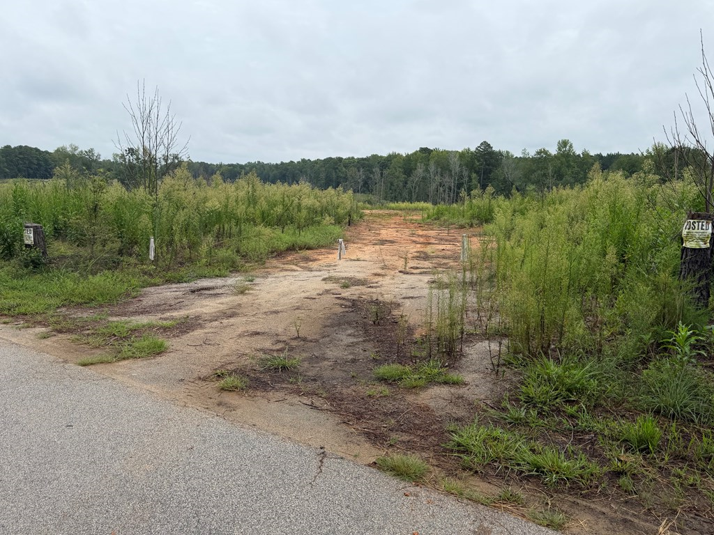 1898 Oak Grove Road Property Photo 7