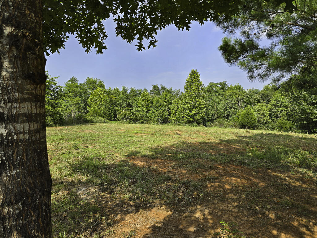 335 Bryant Hollow Road Property Photo 8