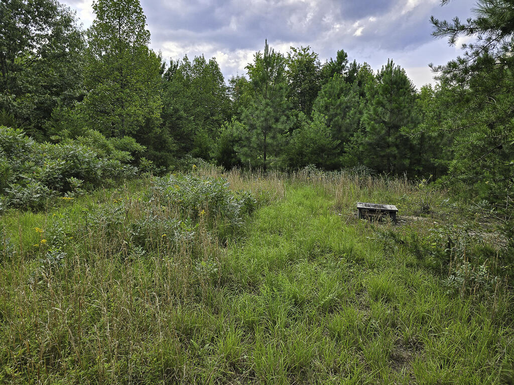 335 Bryant Hollow Road Property Photo 13