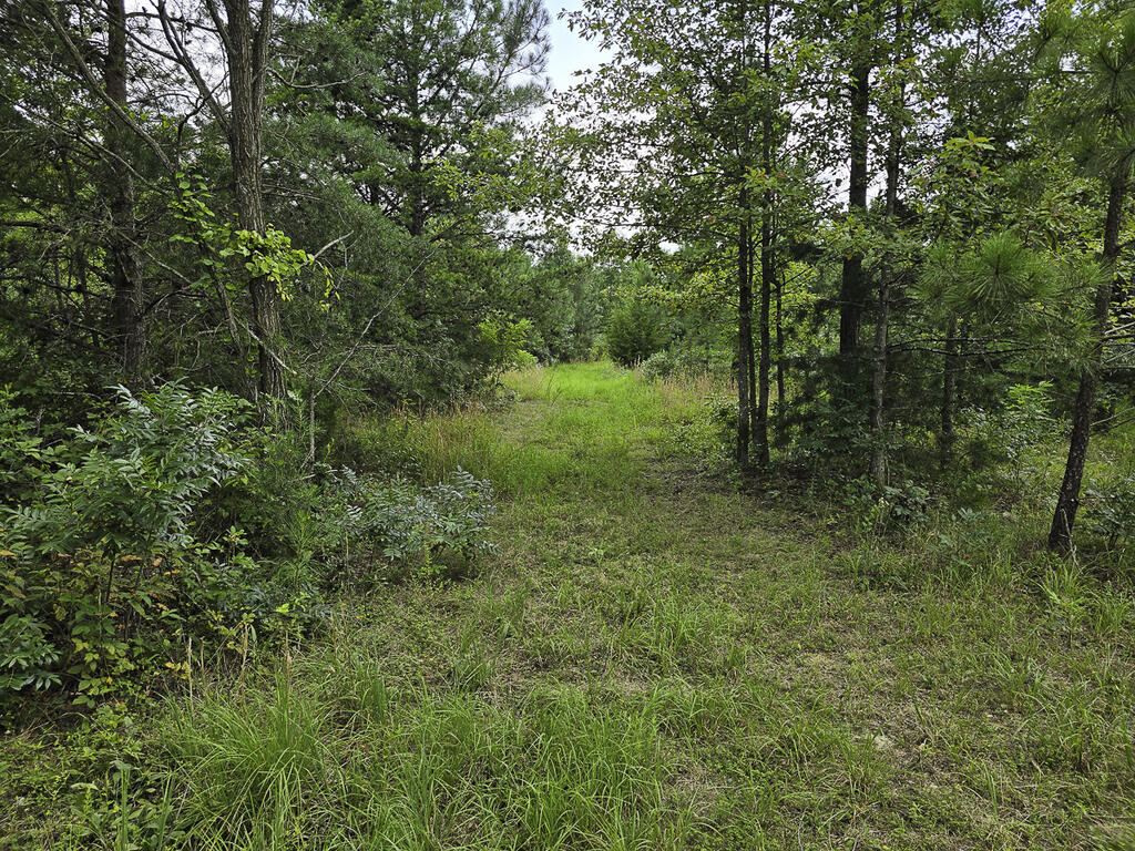 335 Bryant Hollow Road Property Photo 14