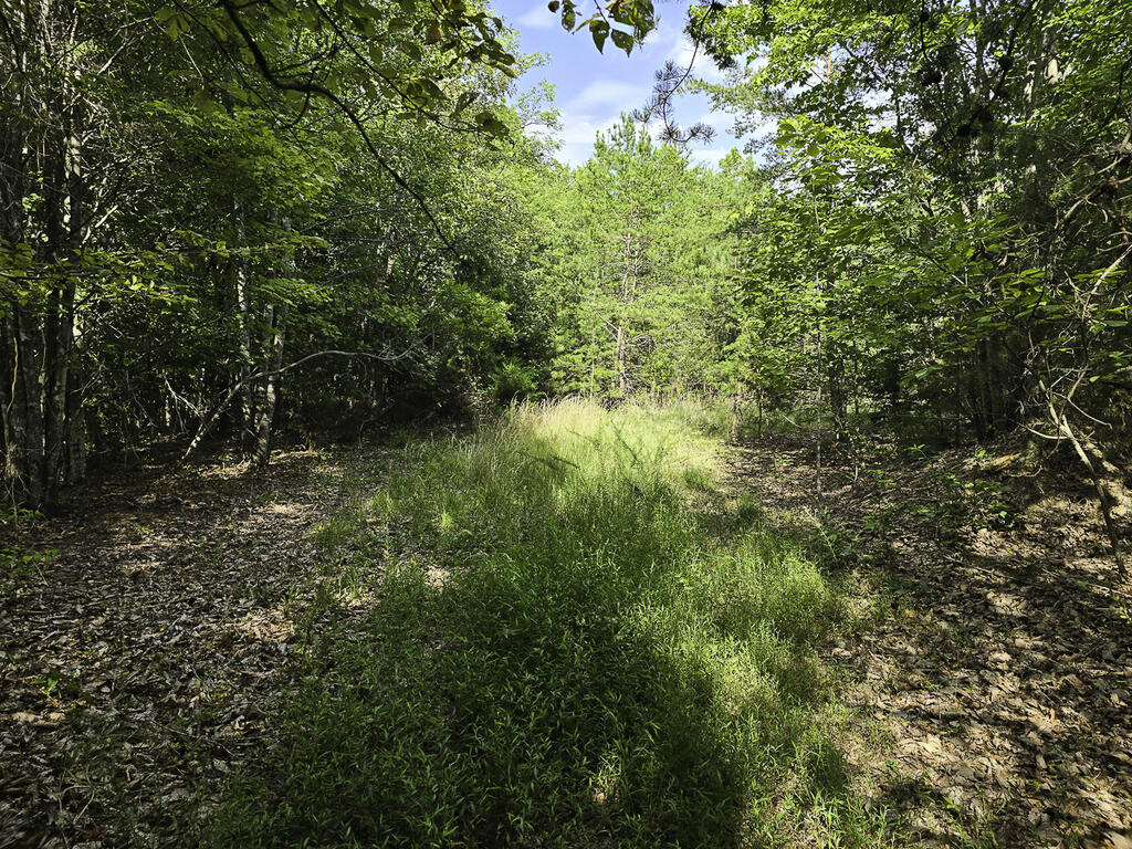 335 Bryant Hollow Road Property Photo 15