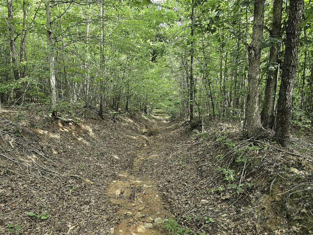 335 Bryant Hollow Road Property Photo 16