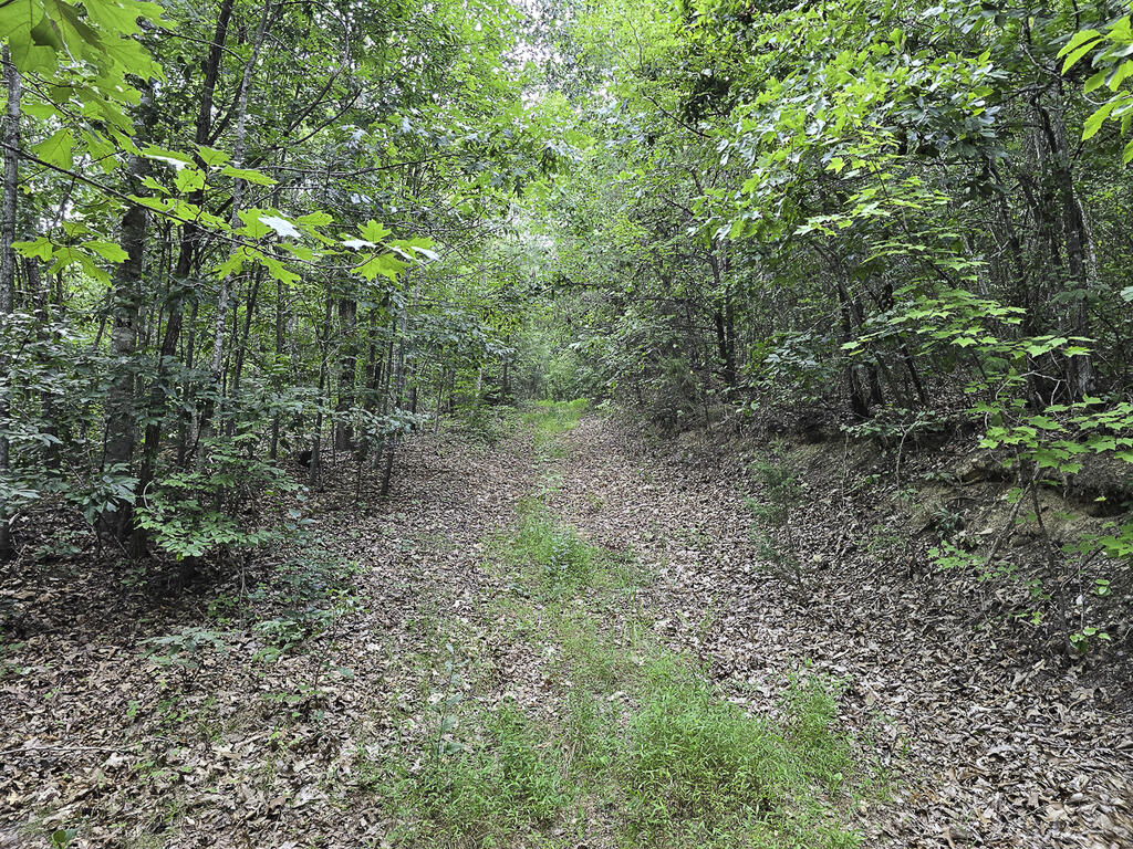 335 Bryant Hollow Road Property Photo 20