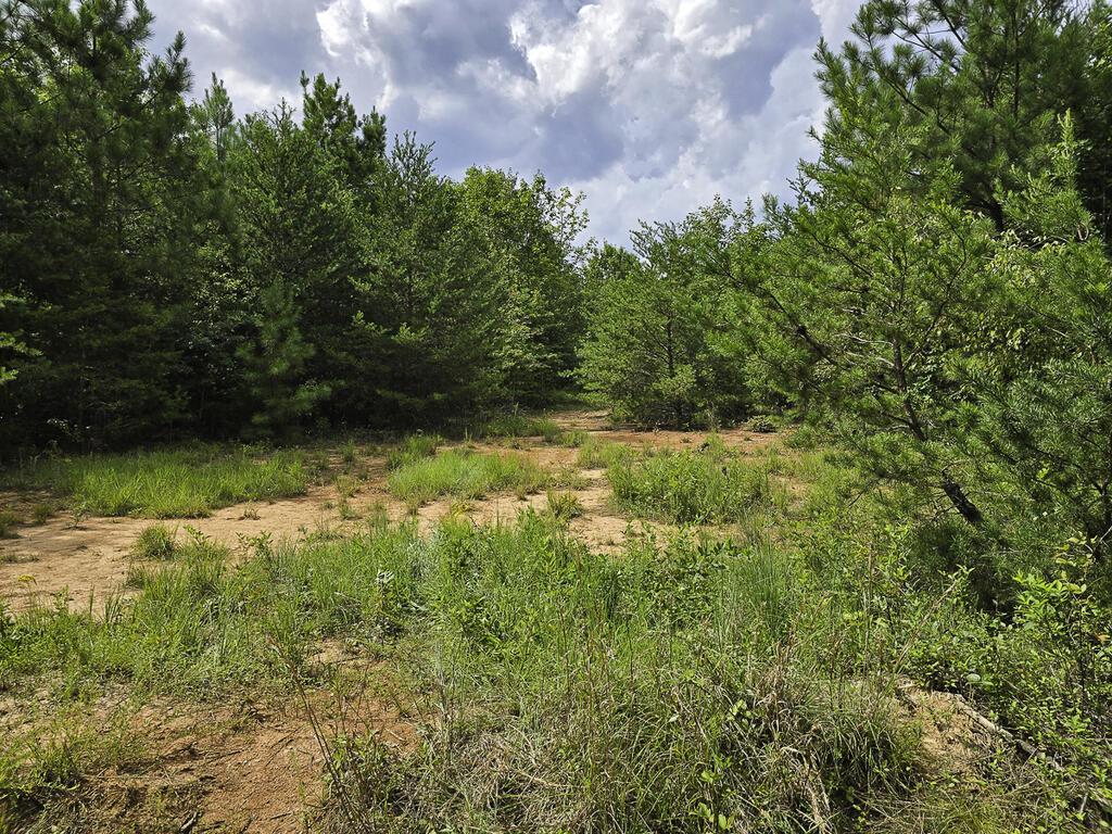 335 Bryant Hollow Road Property Photo 21