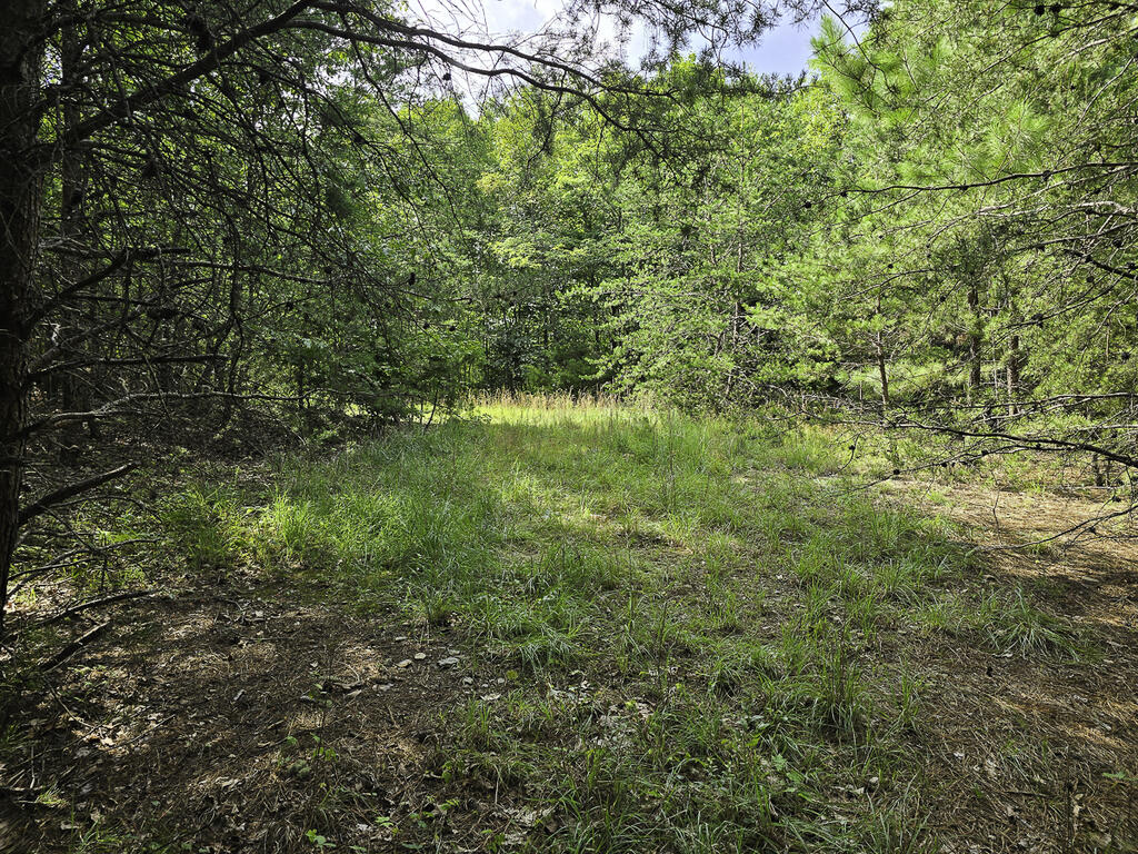 335 Bryant Hollow Road Property Photo 25