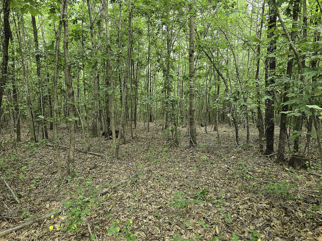 335 Bryant Hollow Road Property Photo 26