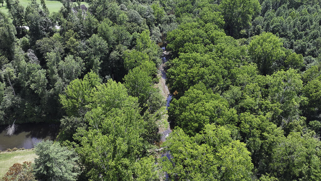 335 Bryant Hollow Road Property Photo 30