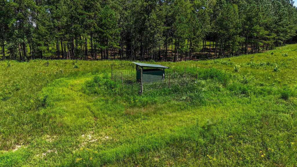 2180 Hutcheson Road Property Photo 27