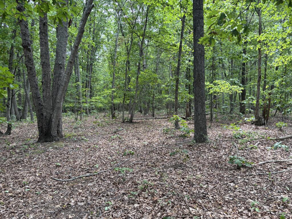 240 Tabor Road Property Photo 3