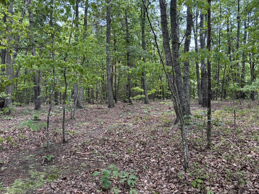 240 Tabor Road Property Photo 4